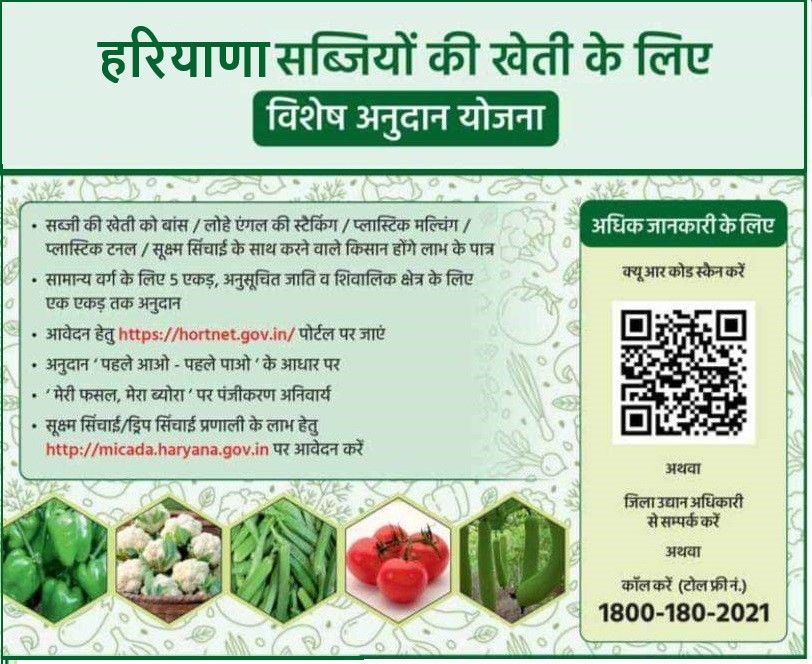हरियाणा सब्जियों की खेती के लिए विशेष अनुदान योजना